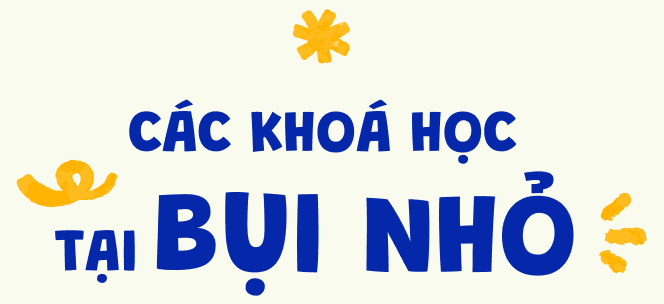 Các khoá học tại Bụi Nhỏ