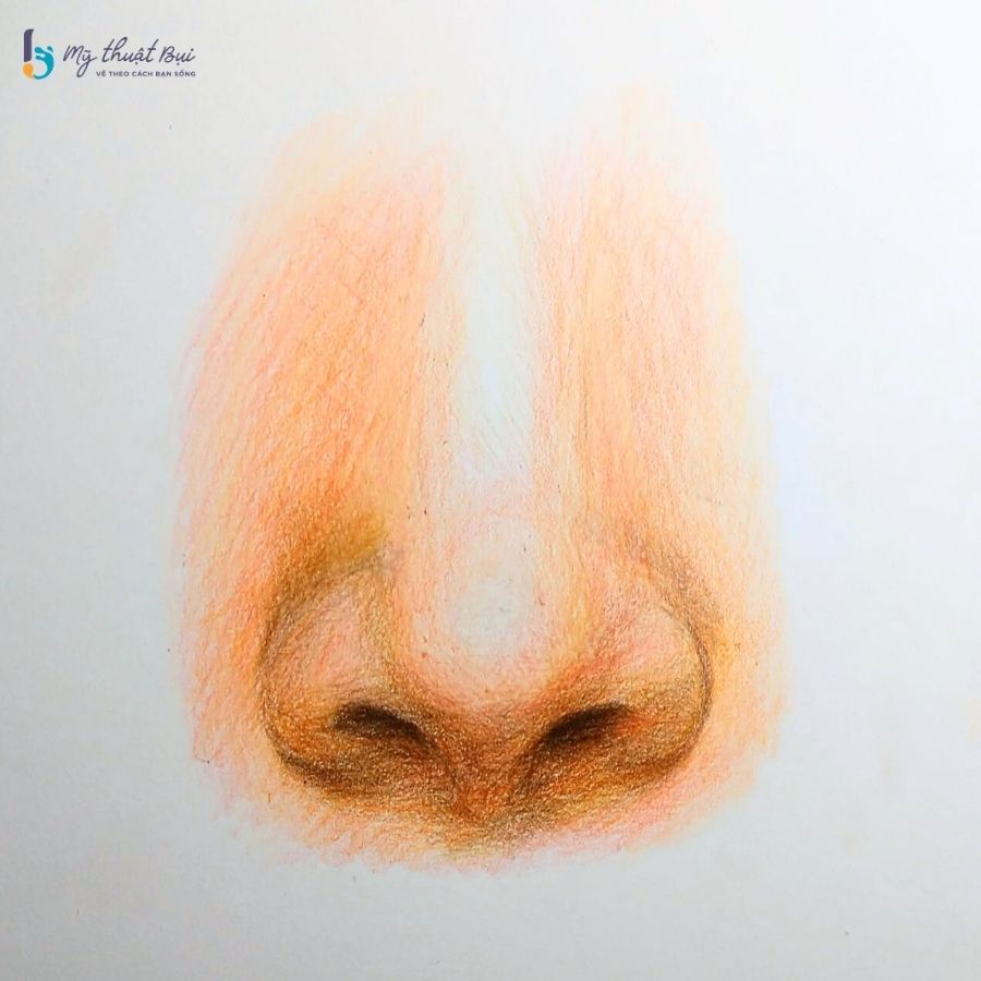 Hình vẽ mũi