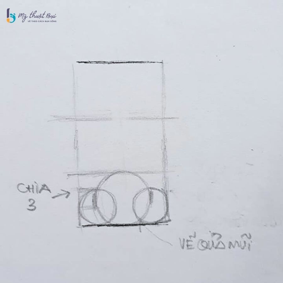 Phác thảo khối quả mũi Phác thảo khối quả mũi