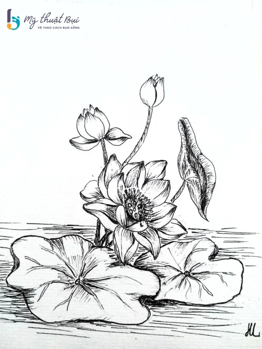 Tranh ký họa hoa 6