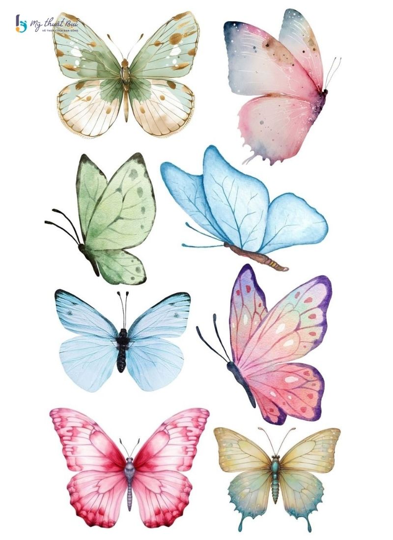 Hình vẽ con bướm đẹp