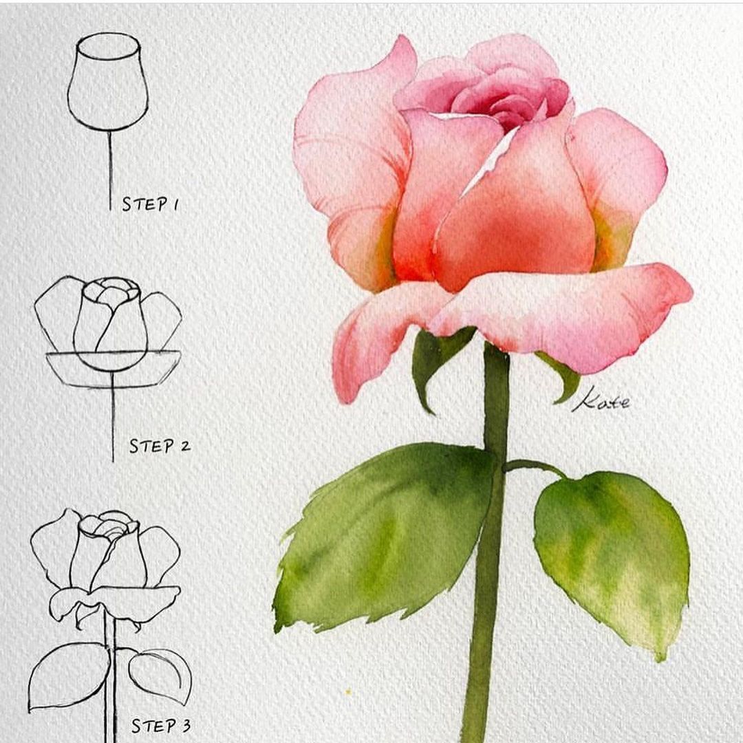 3 bước vẽ hoa hồng đẹp