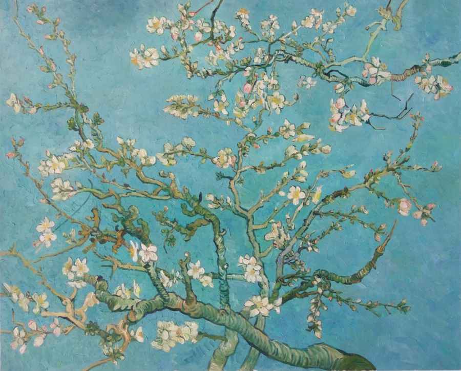 Cành Hạnh Nhân Nở Hoa - Almond Blossom (1890)