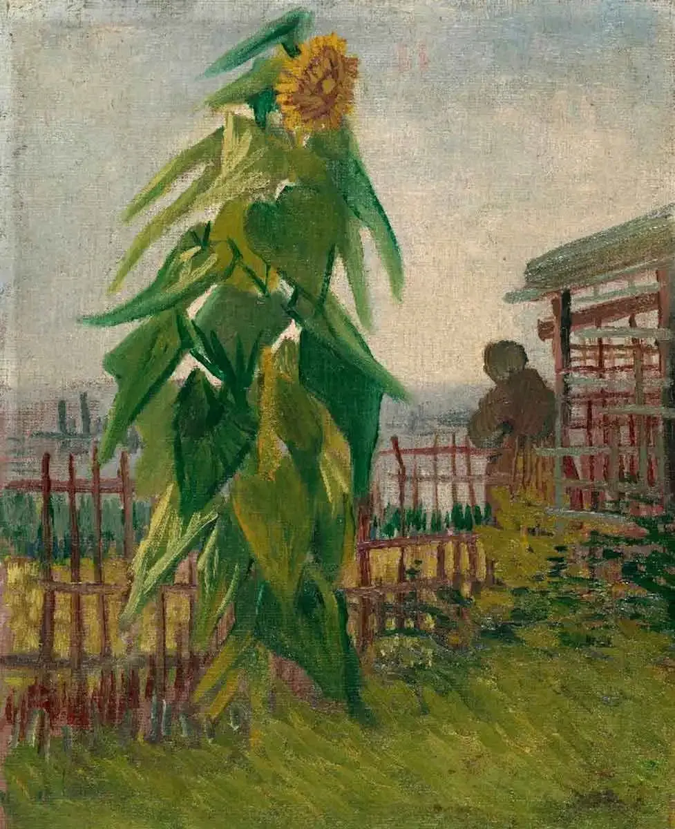 Góc trồng hoa hướng dương Van Gogh - Paris, 1887