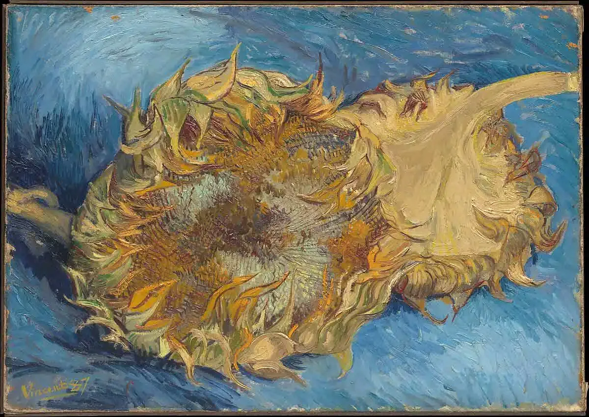Hai bông hướng dương được cắt - Paris, 1887